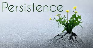 Lessons from a Persistent Pigeon